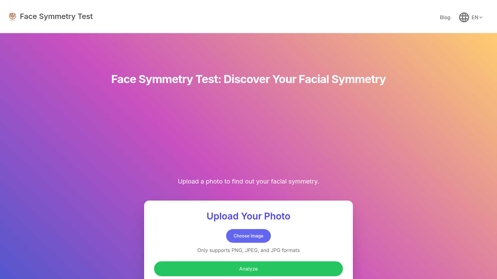 Face Symmetry Test application interface and features