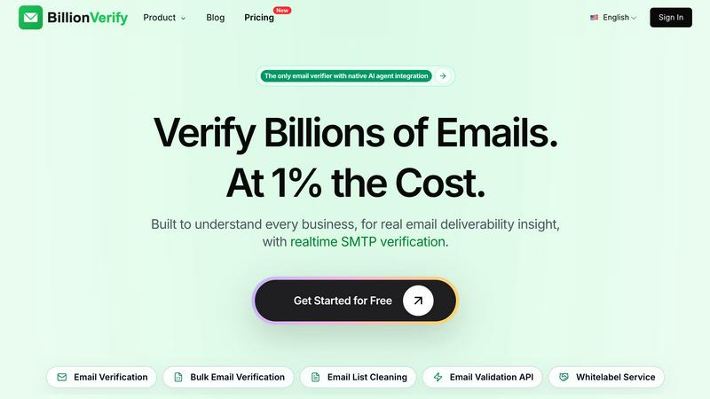 BillionVerify application interface and features