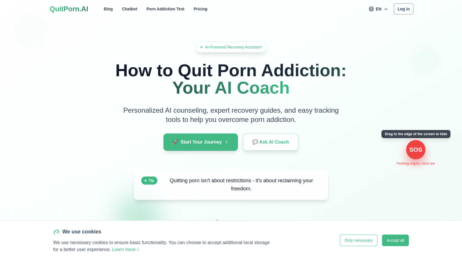 Quit Porn AI application interface and features