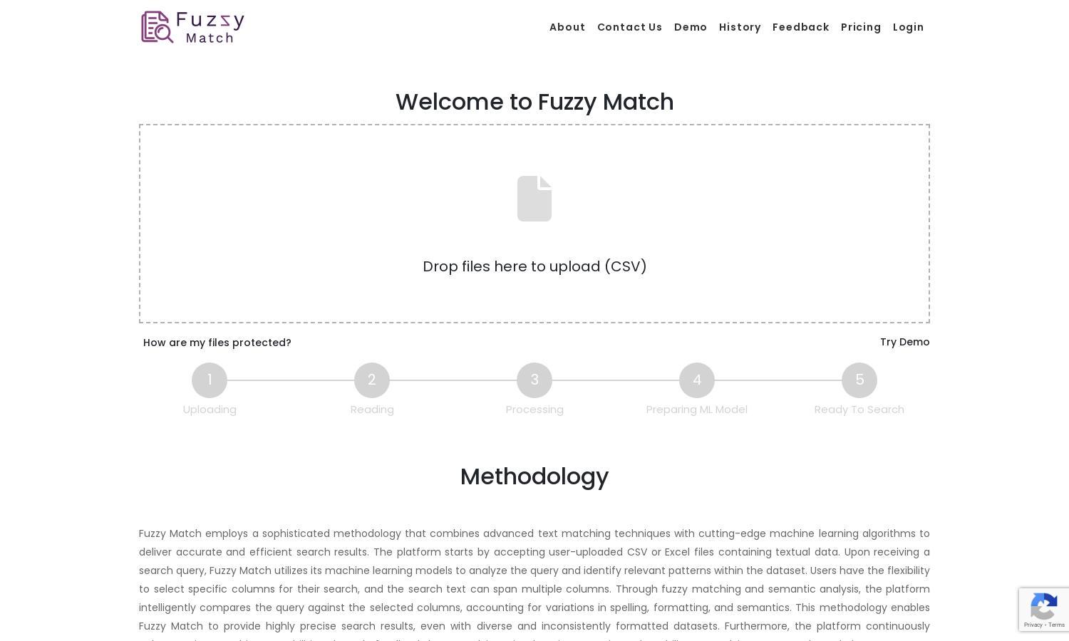 Fuzzy Match Website