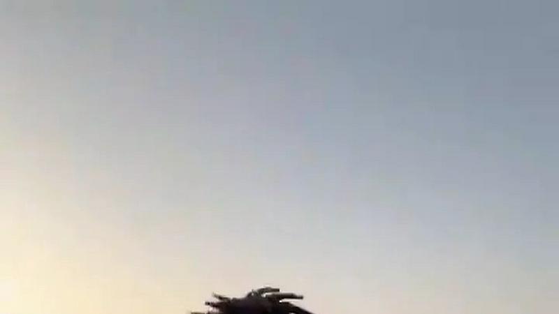 Gas Station Dance AI Generator application interface and features
